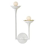 Medium Two Light Sconce