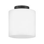 Extra Small Flush Mount